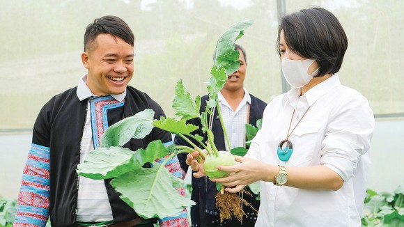 Nông dân đổi đời từ Chương trình sinh kế cộng đồng ảnh 1