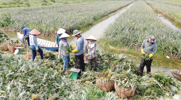 Làm giàu trên vùng đất chết ảnh 1