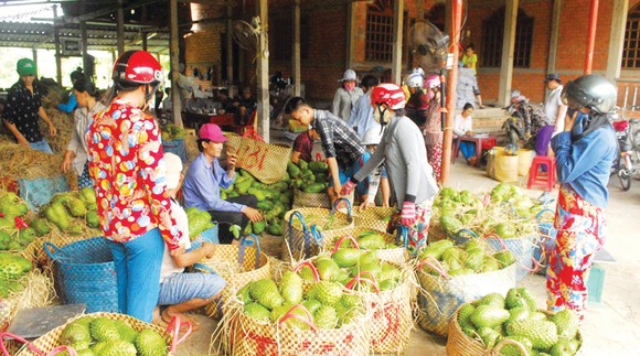 Làm giàu trên vùng đất chết ảnh 2