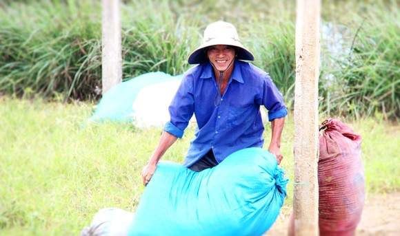 Miền Trung tái sản xuất sau lũ ảnh 3