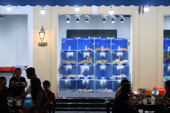 Ăn gì tại Phú Quốc dưới 200 nghìn và 24 giờ? ảnh 2