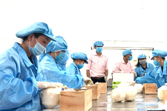 Đưa Bến Tre trở thành tỉnh khá của khu vực ĐBSCL ảnh 2