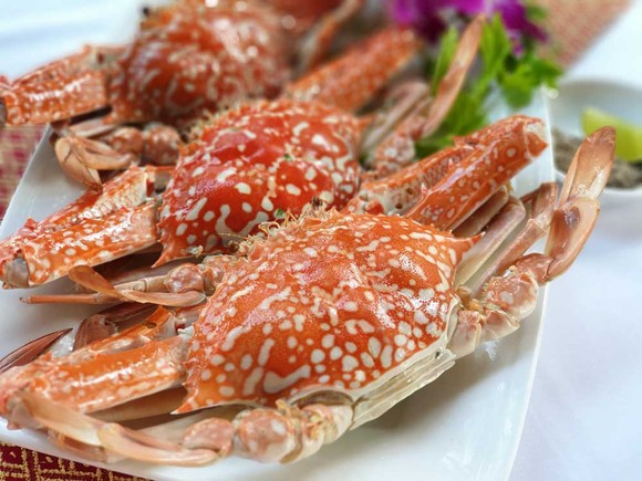 Lữ hành Saigontourist chào tour Côn Đảo bằng tàu cao tốc hiện đại ảnh 4