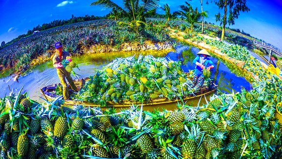 Xây dựng thương hiệu một Hậu Giang thân thiện ảnh 2