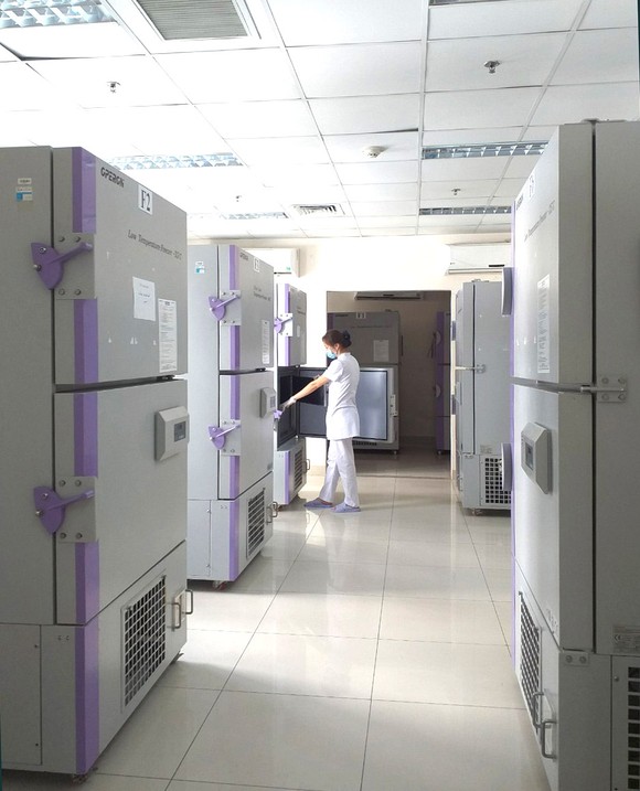 Giọt máu hồng lan tỏa ảnh 8