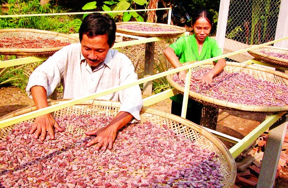 Xuất khẩu nông sản vào thị trường Mỹ: Tận dụng tốt vai trò doanh nghiệp kiều bào ảnh 1