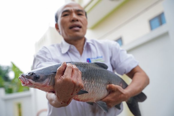 Cá kho Vũ Đại vào mùa ảnh 2