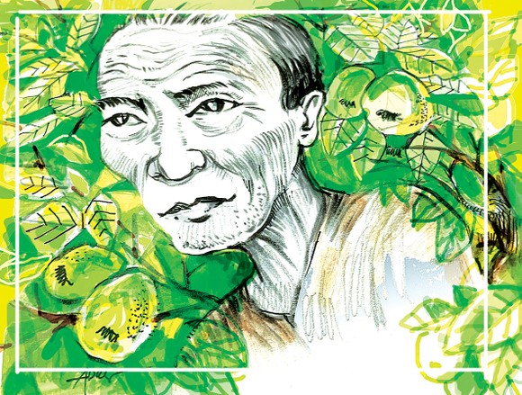 Bóng cha ảnh 1