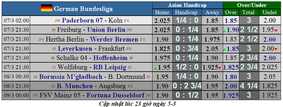 Lịch thi đấu Bundesliga, vòng 25: Hùm xám thừa cơ tăng tốc ảnh 2
