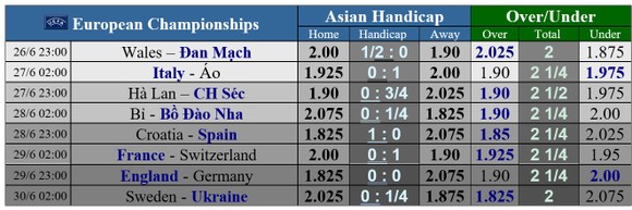 Xứ Wales – Đan Mạch: Lính chỉ sẽ bắn hạ Những chú Rồng ảnh 2