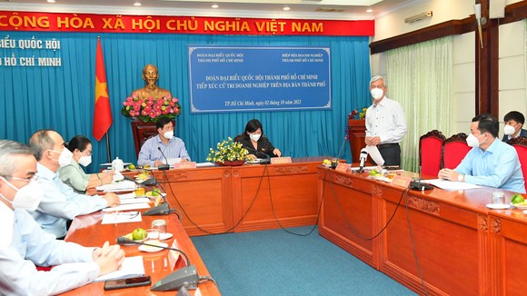 TPHCM bảo vệ sức khoẻ người dân, 'sức khoẻ' doanh nghiệp ảnh 2