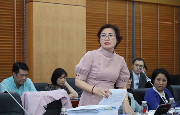 Hội đồng thẩm định thông qua đề án sắp xếp các đơn vị hành chính tại TPHCM ảnh 3