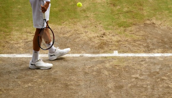 Bên lề: “Cựu Nữ hoàng” Hingis lấy chồng lần thứ 2 ảnh 3