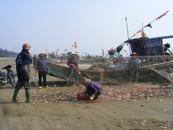 Ngư dân Thanh Hóa 'mở cửa biển', ra khơi đánh bắt đầu năm ảnh 1