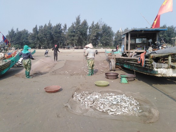 Ngư dân Thanh Hóa 'mở cửa biển', ra khơi đánh bắt đầu năm ảnh 4