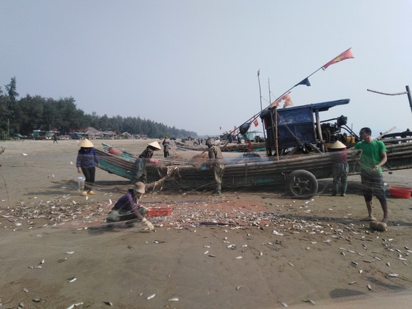 Ngư dân Thanh Hóa 'mở cửa biển', ra khơi đánh bắt đầu năm ảnh 5