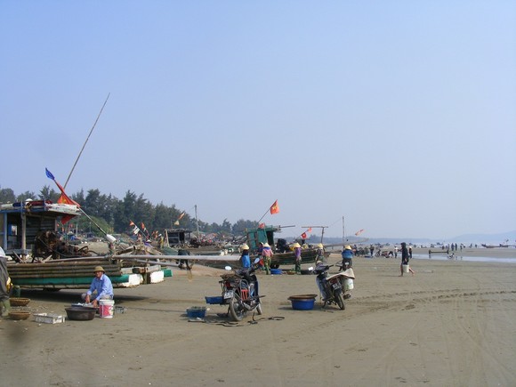Ngư dân Thanh Hóa 'mở cửa biển', ra khơi đánh bắt đầu năm ảnh 6