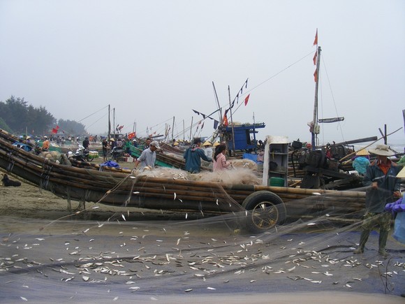 Đang đánh bắt cá, một ngư dân rơi xuống biển mất tích ảnh 1