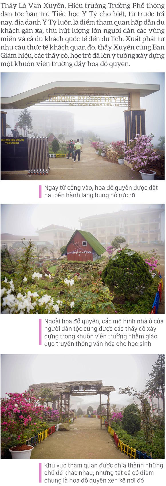Ngôi trường rực rỡ hoa đỗ quyên nơi biên giới ảnh 4