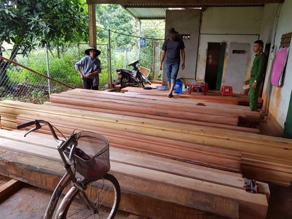 Phát hiện thêm nhiều điểm tập kết gỗ 'khủng' tại Đắk Lắk ảnh 6