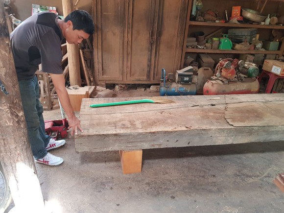 Phát hiện thêm nhiều điểm tập kết gỗ 'khủng' tại Đắk Lắk ảnh 8