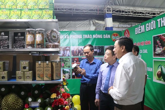 Khai mạc Festival “Sản phẩm vật tư nông nghiệp và thương mại toàn quốc năm 2020” ảnh 2