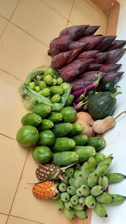 Đồng bào Xê Đăng lên rừng hái măng ủng hộ người dân TPHCM ảnh 1