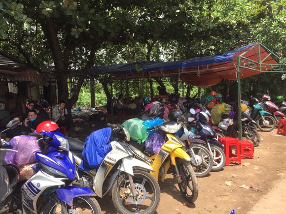 Gia Lai: Dựng lều cho người dân trú tạm trên đường về tránh dịch ảnh 1