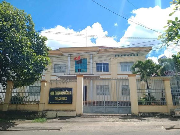 Gia Lai: Chuyển hồ sơ sang công an để điều tra sai phạm của công ty cà phê ảnh 1