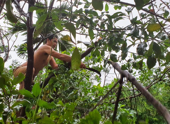 Sinh hoạt của người dân vùng lũ Đà Nẵng ảnh 8