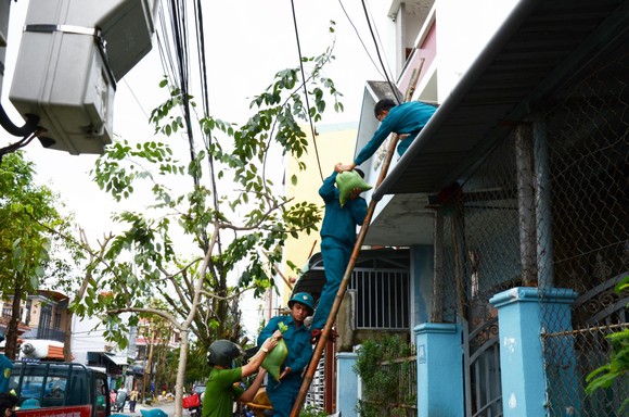 Di dời dân, chằng chống nhà cửa trước cơn bão số 13 ảnh 15