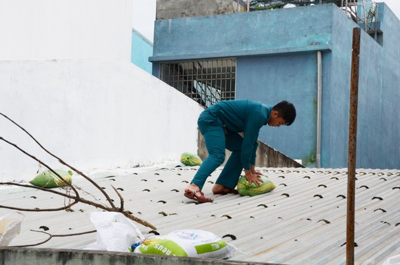 Di dời dân, chằng chống nhà cửa trước cơn bão số 13 ảnh 17