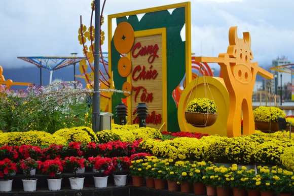 Đường hoa xuân Đà Nẵng những ngày tết ảnh 3