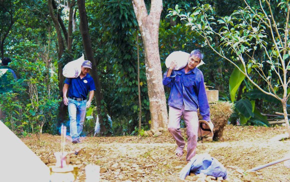 Bảo tồn và phát triển di tích khảo cổ Chăm Phong Lệ ảnh 5