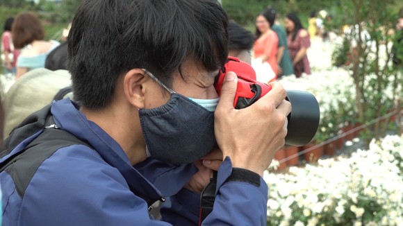 Đà Nẵng: Người dân hào hứng với vườn cúc họa mi trái mùa ảnh 4