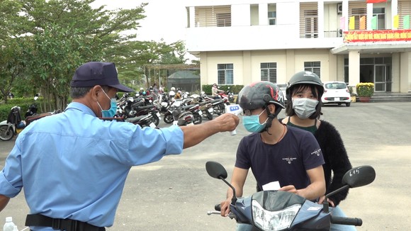 Đà Nẵng: Người dân hào hứng với vườn cúc họa mi trái mùa ảnh 10