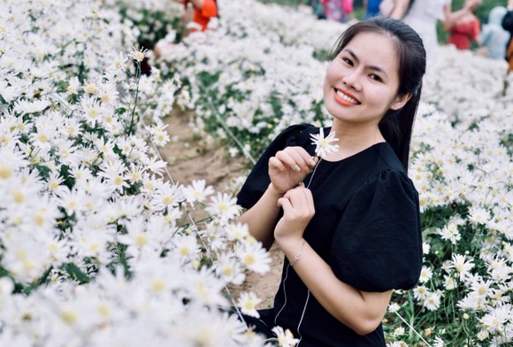 Đà Nẵng: Người dân hào hứng với vườn cúc họa mi trái mùa ảnh 5