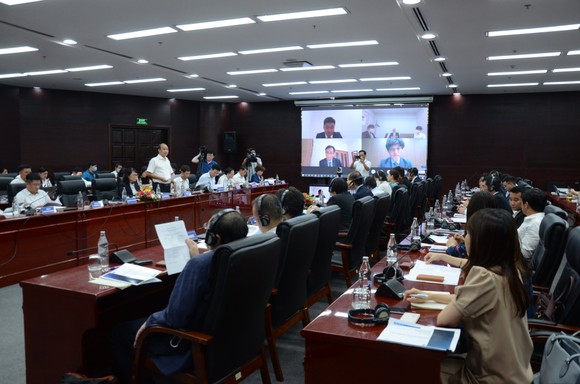 Đề xuất 2 phương án phát triển cảng Liên Chiểu ảnh 1