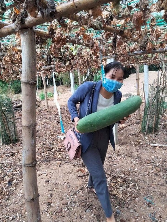 Quảng Nam hỗ trợ cho Đà Nẵng hơn 30 tấn thực phẩm thiết yếu ảnh 7