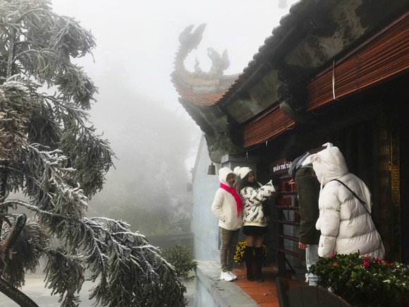Giới trẻ ngỡ ngàng trước vẻ đẹp Fansipan mùa Xuân ảnh 9