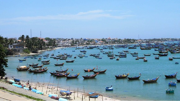 Nam Trung bộ nỗ lực gỡ 'thẻ vàng' thủy sản ảnh 1