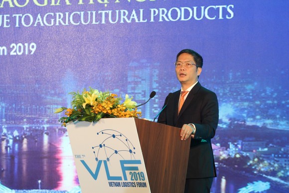 Phó Thủ tướng Vương Đình Huệ: Tạo điều kiện phát triển logistics ảnh 5