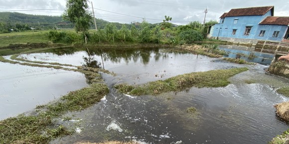 Quảng Nam: Người dân bức xúc vì nước từ bãi rác chảy ra ruộng đồng gây hôi thối ảnh 1