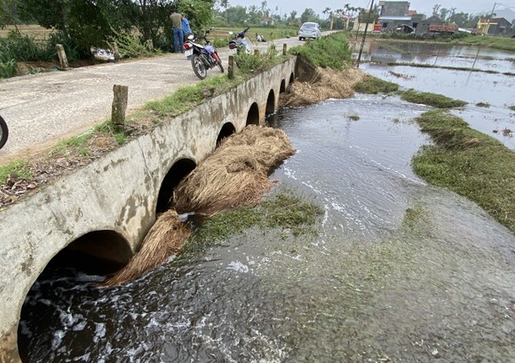 Quảng Nam: Người dân bức xúc vì nước từ bãi rác chảy ra ruộng đồng gây hôi thối ảnh 4