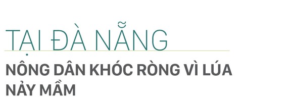 Nông dân miền Trung dầm mình cứu lúa sau mưa bão ảnh 20