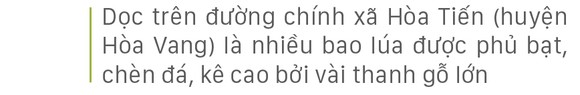 Nông dân miền Trung dầm mình cứu lúa sau mưa bão ảnh 23
