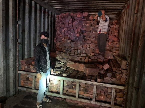 Quảng Trị: Phát hiện vụ buôn lậu gỗ, đá quý hiếm ảnh 1