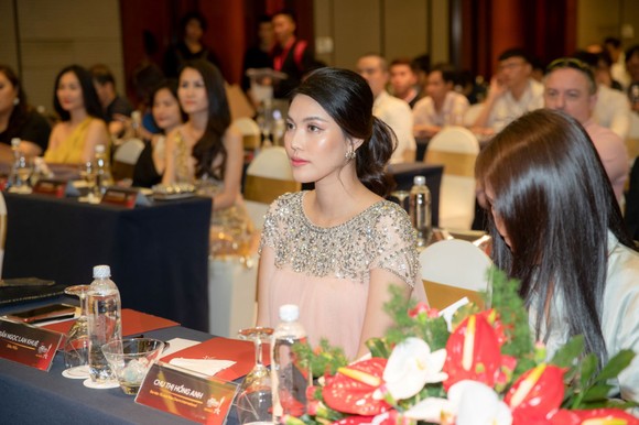 Lan Khuê chọn đại diện Việt Nam tham dự Miss Charm International 2020 ảnh 2