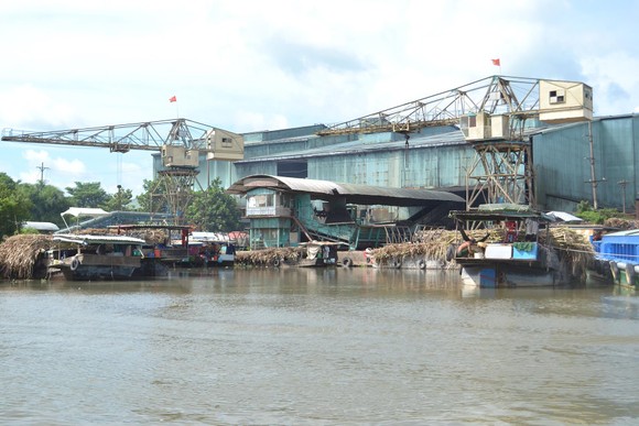 Vụ dòng nước đen ở Hậu Giang: Tuần này sẽ công bố nguyên nhân ảnh 7