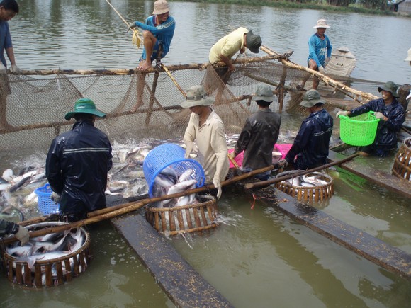 Khởi động phục hồi nền kinh tế, lãnh đạo địa phương cần hành xử khéo léo, linh hoạt với doanh nghiệp ảnh 1